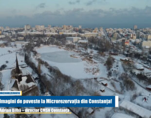 Imagini de poveste la Microrezervația din Constanța!