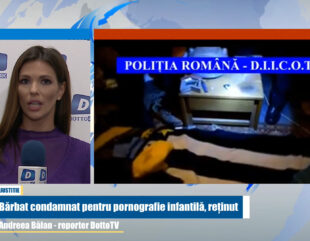 Reţinut pentru pornografie infantilă