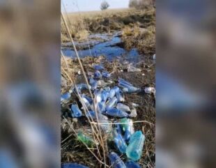 Imagini revoltătoare în Delta Dunării, plină de gunoaie