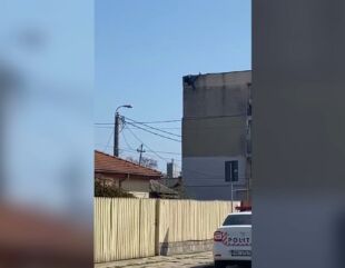 S-a sinucis, din dragoste