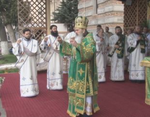 ÎPS Teodosie, despre femeie și păcat