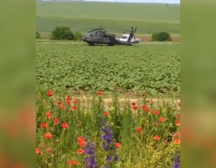 Aterizare de urgență în… rapiță