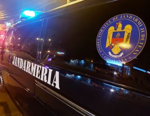 Jandarmii din Tulcea au amendat un proprietar de câine agresiv