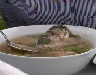 Pe urmele gastronomiei, în Delta Dunării