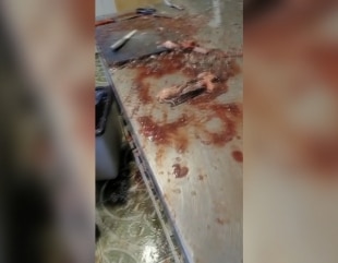 Produse expirate din 2015 în restaurantele din Delta Dunării