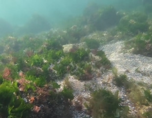 Turism arheologic în adâncurile mării