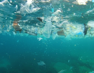 Marea de plastic, din adâncuri