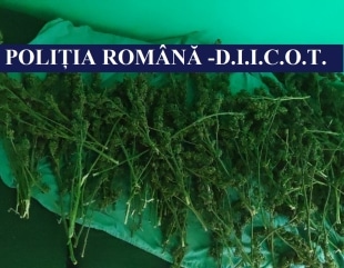 Prins în flagrant cu droguri de risc