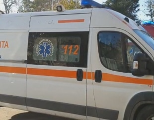 Copil ucis de câine, la Mangalia