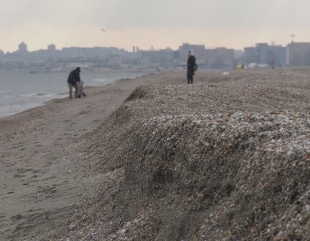 Marea mușcă din plajele lărgite