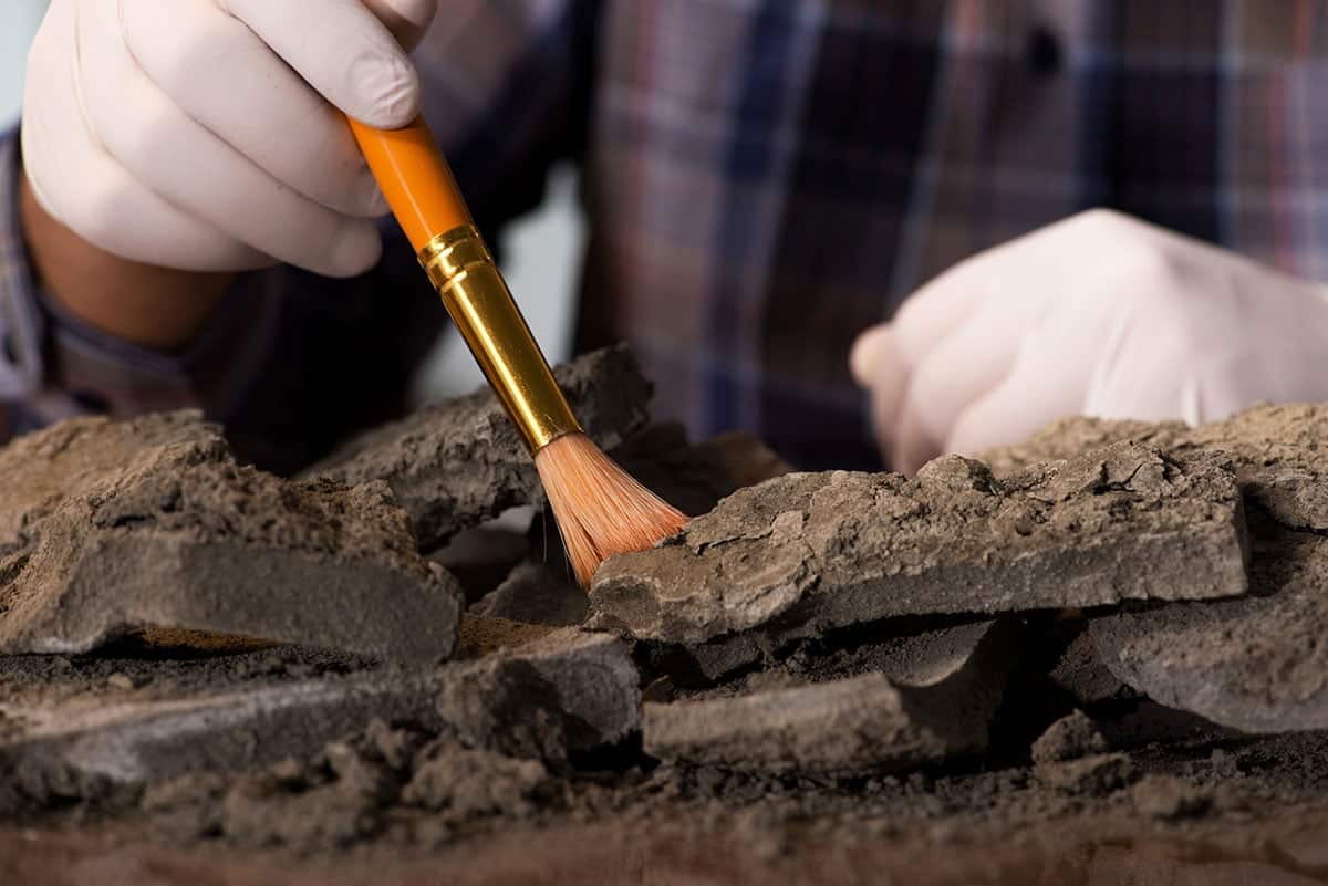 Archaeologists solve Cerne Abbas Giant puzzle after historic dig