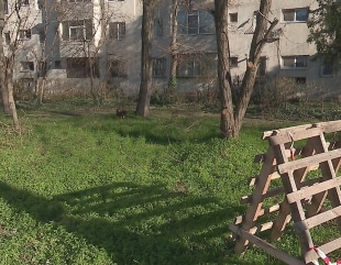 Grădină publică în Tomis Nord