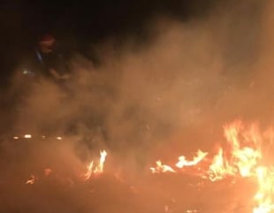 Incendii în trei localități din Delta Dunării