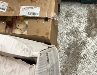 Alimente stricate și muște moarte, în vitrine