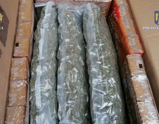 11 kg de cannabis, prin curier