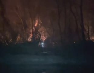 1.000 hectare de pădure și vegetație făcute scrum