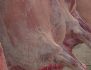 Sute de kilograme de carne de miel, confiscate
