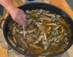 Bibaniada de fete
