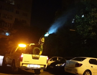 „Arma” împotriva insectelor verii