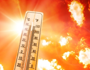 Alertă meteo rară în Marea Britanie: cod roșu de caniculă, temperaturi de aproape 40 de grade și școli închise