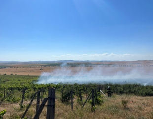 Incendiu în județul Tulcea