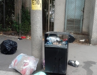 Nerespectarea legislației din domeniul protecției mediului sancționată de polițiștii locali&nbsp;
