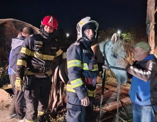 Iapă gestantă, salvată de pompierii din Tuzla