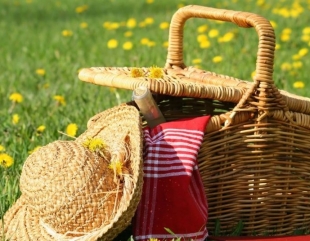 Constanța va avea zone de picnic