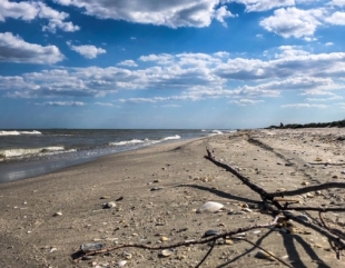 Fără beach-baruri pe plajele noi de pe litoral