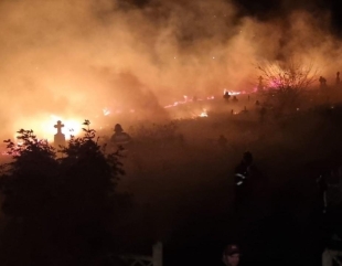 Slava Rusă: Cimitir distrus de incendiu
