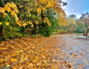 Cum va fi vremea în noiembrie, pe litoral