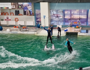 Acrobații spectaculoase