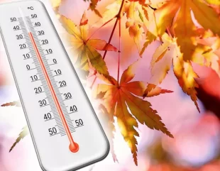 METEO. Temperaturi mai ridicate decât cele specifice în perioada următoare, inclusiv în primele zile din decembrie