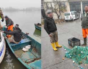 Braconaj piscicol în Delta Dunării