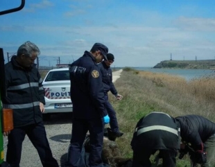 Cadavru descoperit în Canalul Poarta Albă – Midia Năvodari