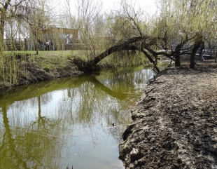 Pregătiri pentru iarnă la Microrezervație