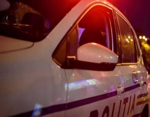 Topraisar: Un șofer fără permis a fugit de polițiști și s-a răsturnat cu mașina