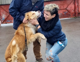 Încă o poveste cu final fericit la Adăpostul public de animale abandonate, din Constanța