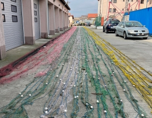 1.500 de plase și zeci de kilograme de pește, confiscate