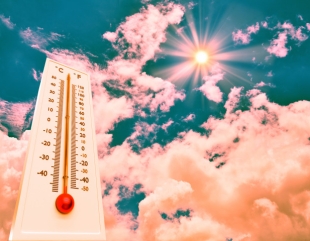 Cea mai caldă zi din ianuarie