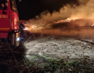 Incendiu puternic în Delta Dunării
