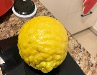 O lămâie uriașă