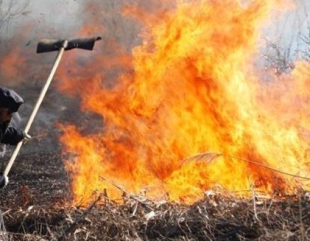 Incendiu puternic în Delta Dunării