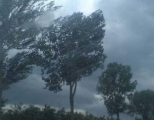 UPDATE. Cod galben de averse torențiale în Constanța și Tulcea: Avertizare nowcasting emisă de ANM