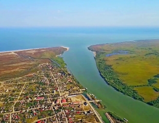 Delfini filmați în apele Dunării