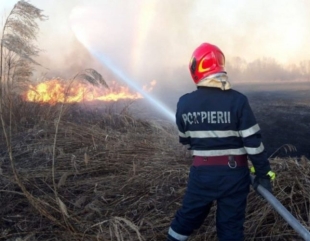 Dezastru în Deltă. Au ars 460 de hectare de teren