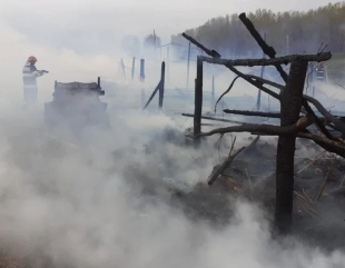 Măcin: 100 de oi arse într-un incendiu