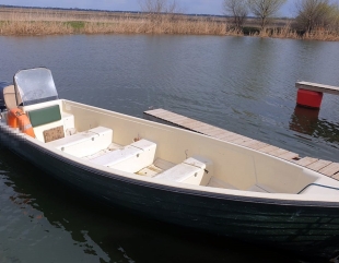 Motor de barcă, dispărut în Suedia, găsit în Delta Dunării