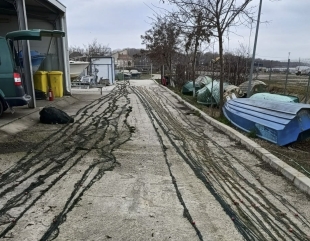 Plasele din adâncuri, adevărate pericole