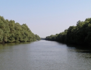 Problema Bîstroe se tranșează în Delta Dunării